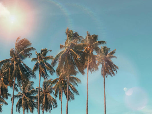 Welcome Summer: Refresh Your Rituals with Aromatherapy Essentials