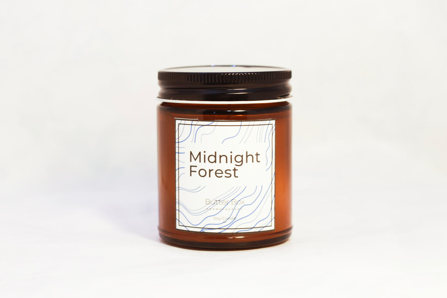 Midnight Forest